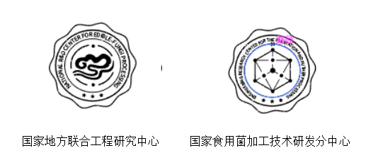 仙芝樓創(chuàng)意電商頁面策劃全案