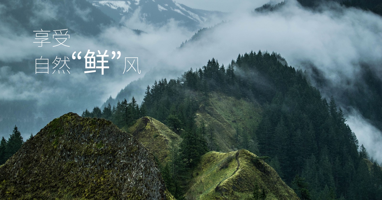 颯多大的、爽.jpg