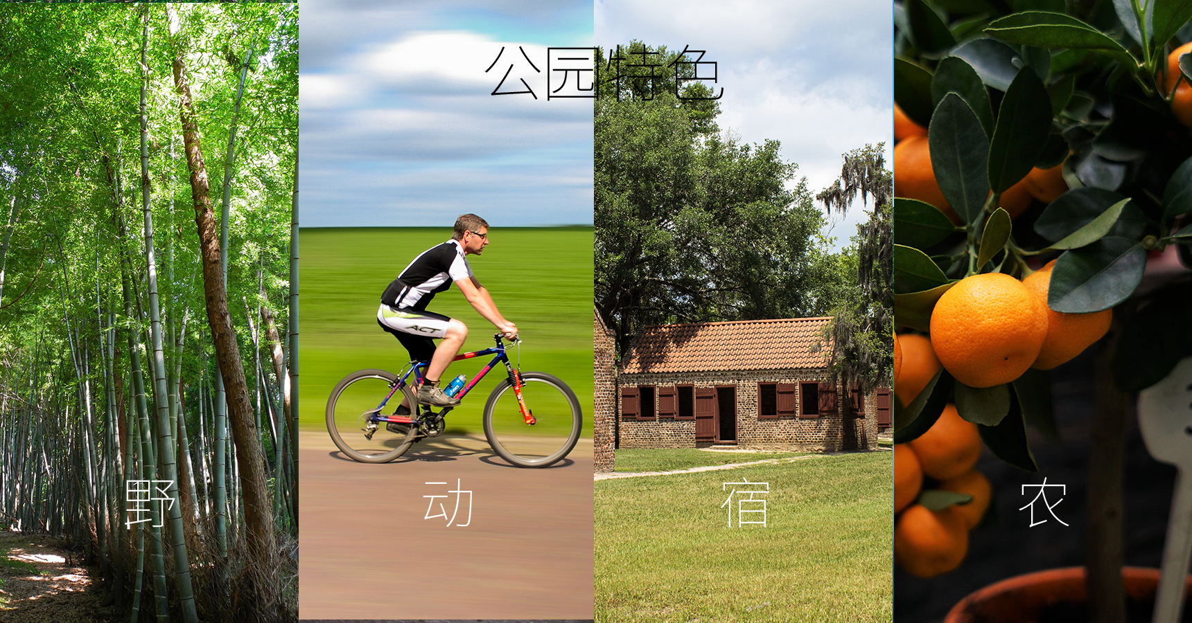 長(zhǎng)興島郊野公園_畫(huà)板 1 副本 23.jpg