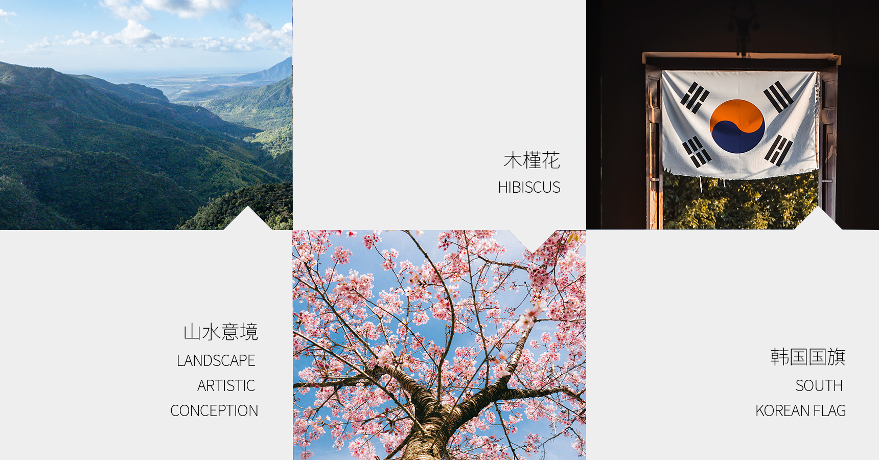 吉島湯_畫(huà)板 1 副本 ee.jpg